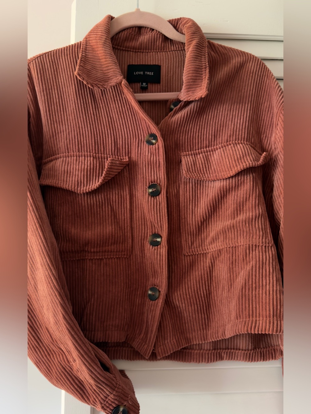 Crop Corduroy Jacket Mauve with Button Front